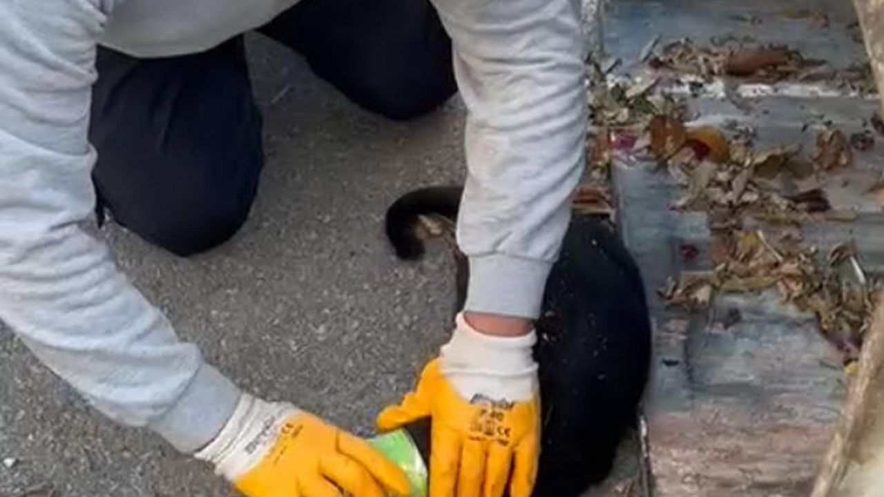 Başı konserveye sıkıştı… İmdadına temizlik personeli yetişti