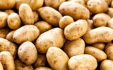 Ticaret Bakanlığı’ndan patates fiyatlarına i...