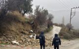Tilki nöbetinde acı son… Bahçe duvarının alt...