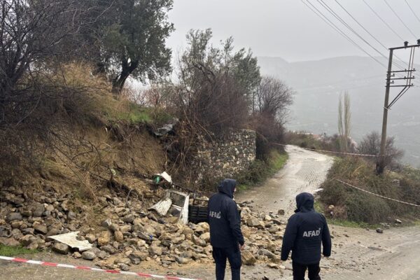 Tilki nöbetinde acı son… Bahçe duvarının alt...