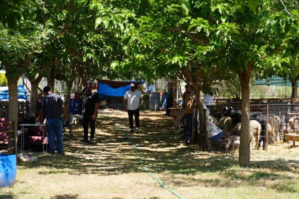 Seferihisar’dan Kurban Bayramı’nda dayanışma...