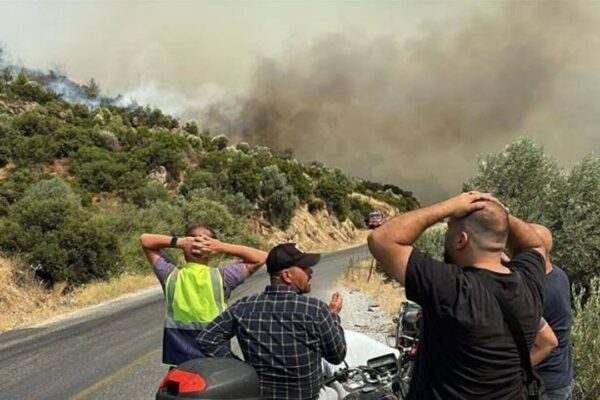 Aydın’daki yangın kontrol altında!